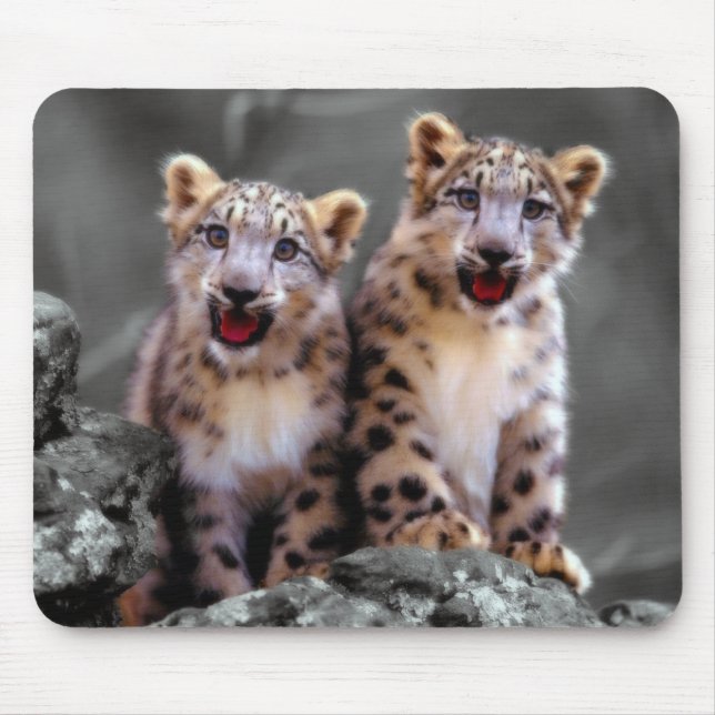 Mousepad Leopardo de neve Cubs (Frente)