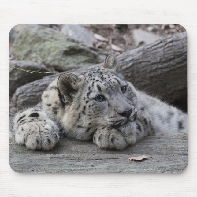 Mousepad Leopardo de neve furado Cub (Frente)