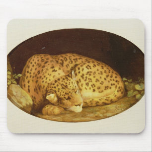 Mousepad Leopardo do sono de George Stubbs  , 1777 (esmalte