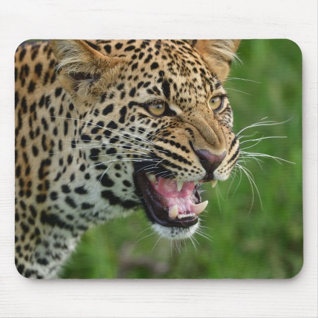 Mousepad leopardo, natureza, vida selvagem (Frente)