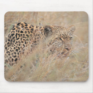 Mousepad Leopardo Prowling que esconde na pastagem