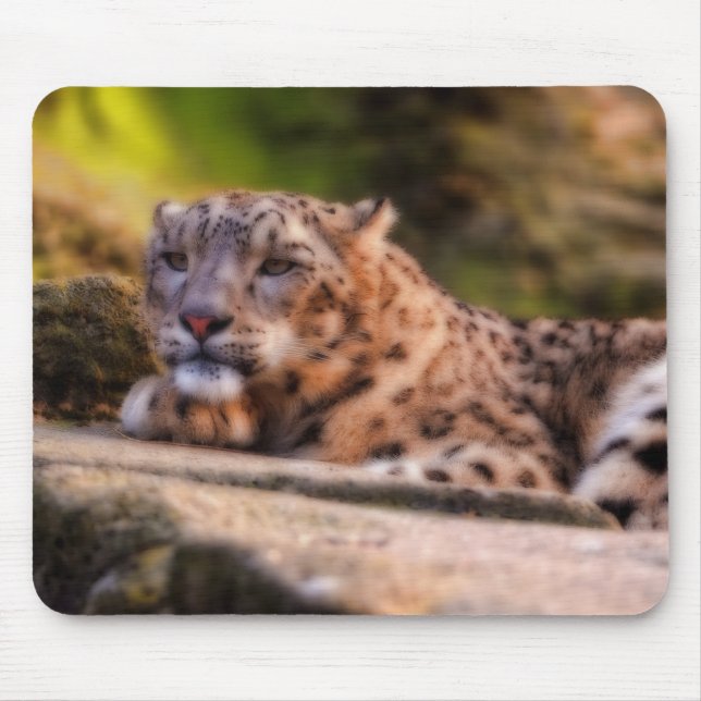 Mousepad Leopardo solto (Frente)