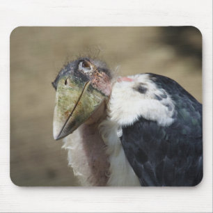 Mousepad Leptoptilos crumeniferus