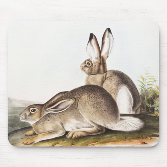 Mousepad Lepus Townsendii (Lepus Townsendii) (Frente)