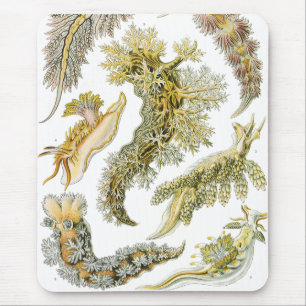 Mousepad Lesmas Marinhas por Ernst Haeckel, Nudibrânquia Vi