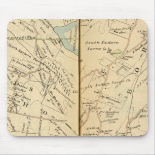 Mousepad Lewisboro, Nova Iorque
