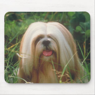 Mousepad Lhasa Apso