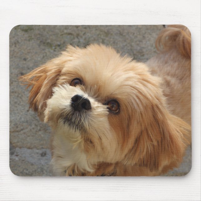 Mousepad Lhasa Apso cão num jardim (Frente)