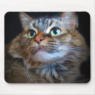 mousepad libby do gato