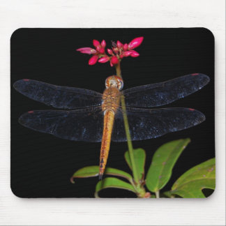 Mousepad Libélula