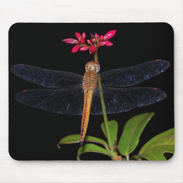 Mousepad Libélula (Frente)