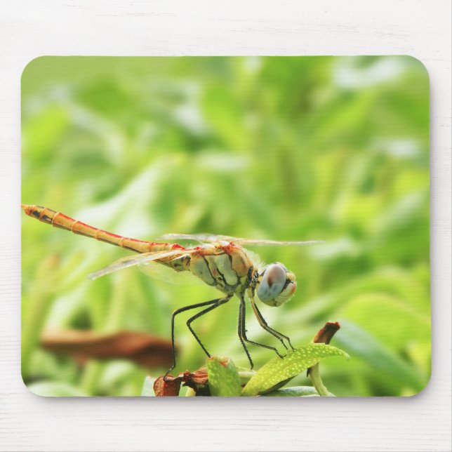 Mousepad Libélula (Frente)