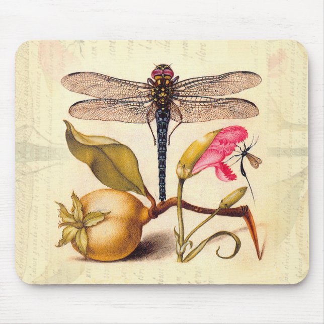 Mousepad Libélula Arte Botânico da Natureza Hoefnagel (Frente)