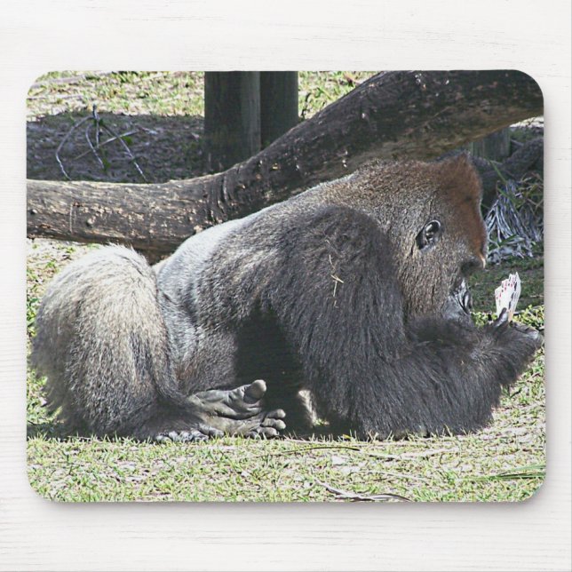 Mousepad Lições livres do póquer (Frente)