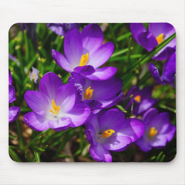 Mousepad Lilac Crocuses (Frente)