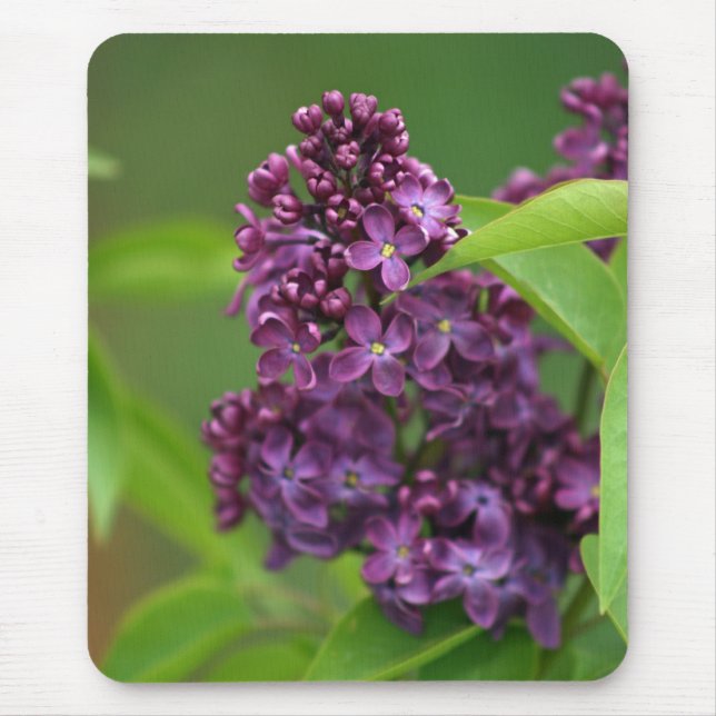Mousepad Lilac Roxo (Frente)