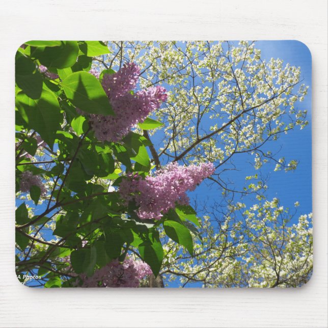 Mousepad Lilacs e Cherry Blossoms - Martha's Vineyard (Frente)
