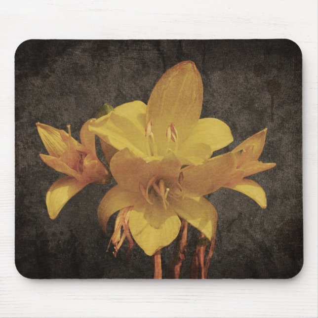 Mousepad Lily asiática amarela no antigo grupo de trás da c (Frente)