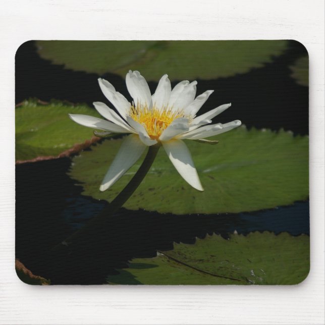 Mousepad Lily De Lilly De Lilly Branca Passa O Mouse (Frente)
