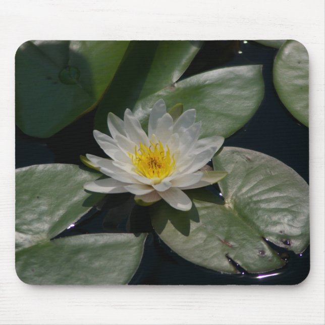 Mousepad Lily De Lilly De Lilly Branca Passa O Mouse (Frente)