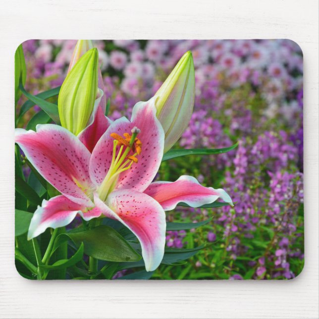 Mousepad Lily impressão mousepad, cor-de-rosa (Frente)