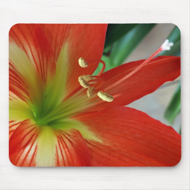 Mousepad lily laranja (Frente)