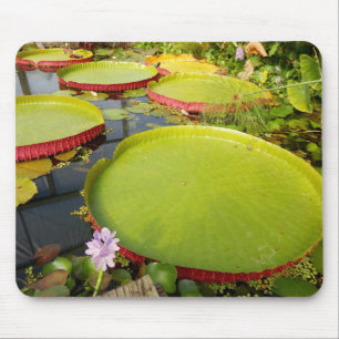 Mousepad Lily Pads Mat De Mouse