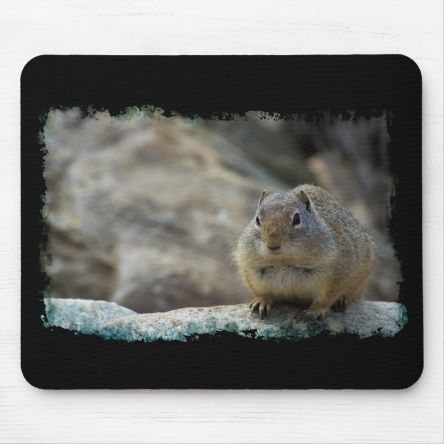 Mousepad Limite Preto de Esquilo Superbonito (Frente)
