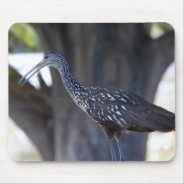 Mousepad Limpkin
