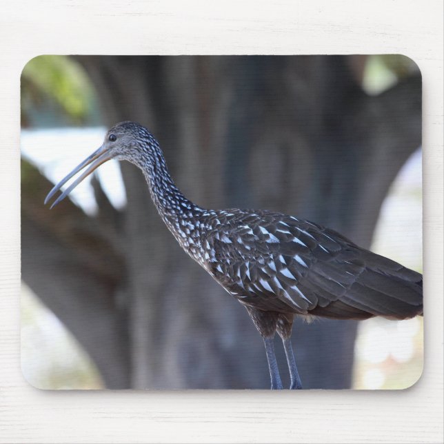 Mousepad Limpkin (Frente)