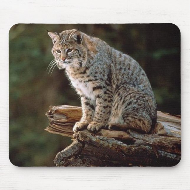 Mousepad Lince (Frente)