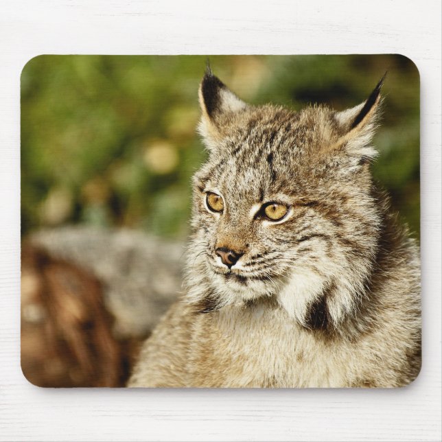 Mousepad Lince canadense (Frente)