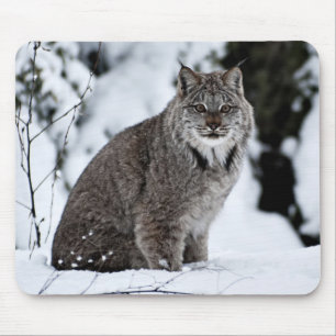 Mousepad Lince canadense na neve