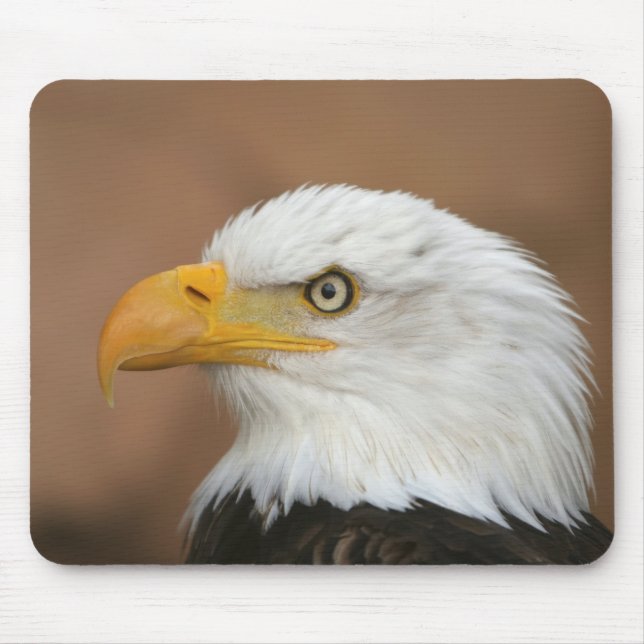 Mousepad Linda águia careca (Frente)