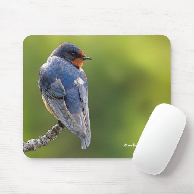 Mousepad Linda ave andorinha em galho (Com mouse)
