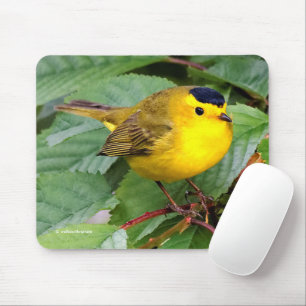 Mousepad Linda ave-canora Wilson em árvore cerejeira