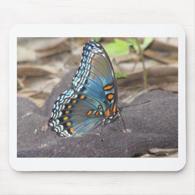 Mousepad Linda Borboleta Azul Laranja e Preta. (Frente)