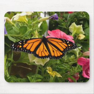 Mousepad Linda Borboleta Monarca Espalha Asas Petunia