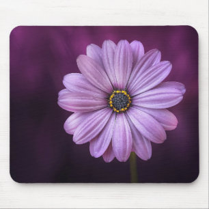 Mousepad Linda, brilhante, elegante, margarida roxa rosa