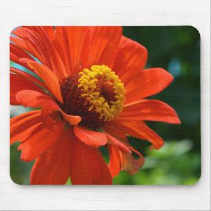 Mousepad Linda flor de laranja elegante
