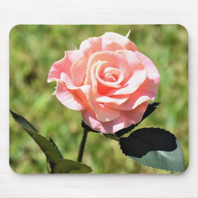 Mousepad Linda flor rosa rosa rosa rosa perfeita (Frente)