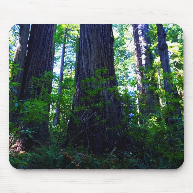 Mousepad Linda Floresta Vermelha (Frente)