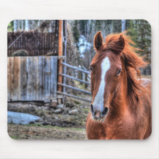 Mousepad Linda Foto Red Dun Ranch Horse Equine (Frente)