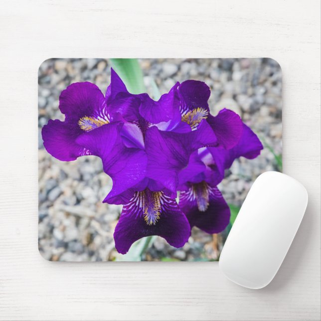 Mousepad Linda íris roxa (Com mouse)