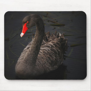 Mousepad Linda Nadação Nadada Negra em um rio