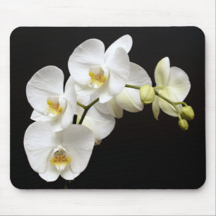 Mousepad Linda Orquídea Branca com Fundo Negro