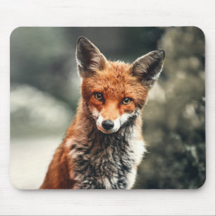 Mousepad Linda Raposa na Natureza