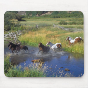 Mousepad Linda Renda Horse Destino Natureza