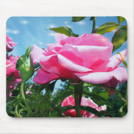Mousepad Linda rosa rosa rosa no céu azul. Fotografia flora