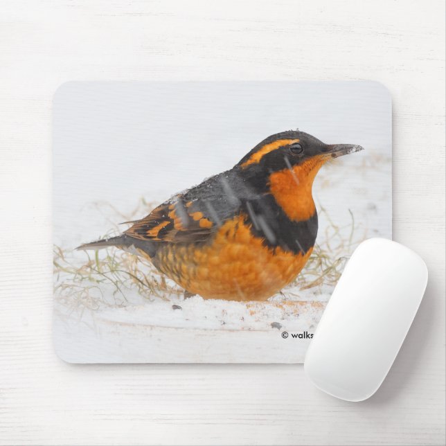 Mousepad Linda variedade de sabiá-lo na neve (Com mouse)